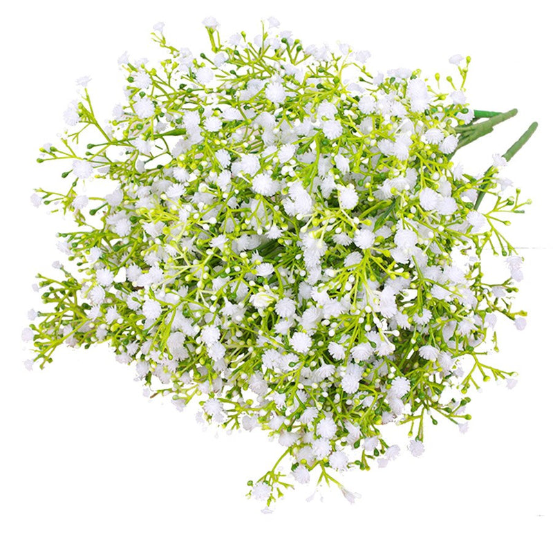 Gypsophila Málaga