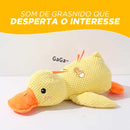 Compre o Pato Amigão e Ganhe: (01- Escova para banho + 01- Escova limpa pelos)